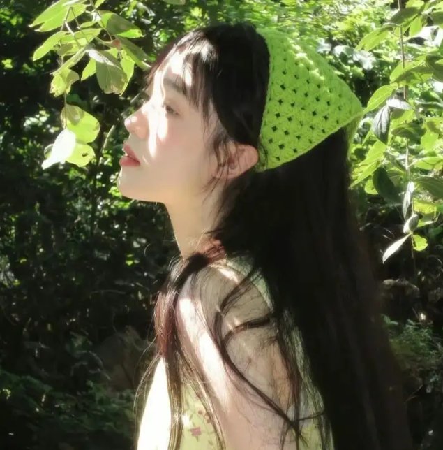 绿头苍蝇